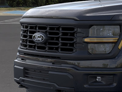 2024 Ford LIFTED F-150 STX